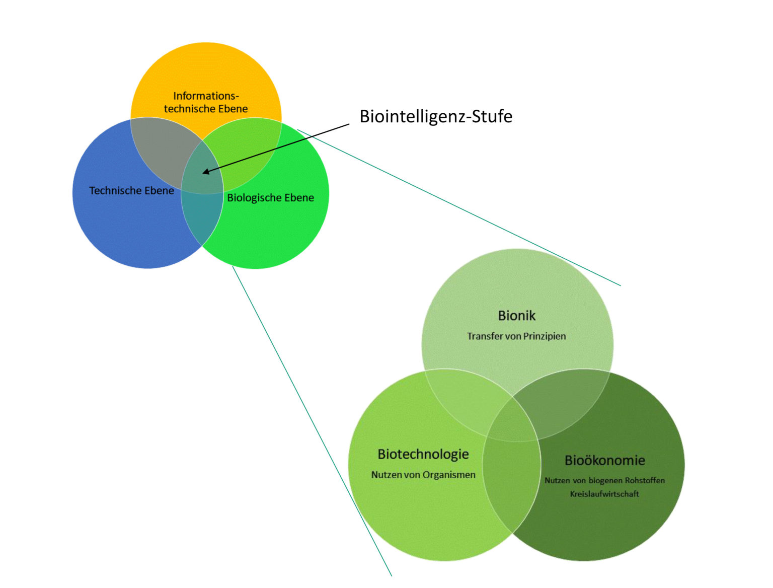 Was Steckt Hinter Dem Konzept Der Biologischen Transformation?