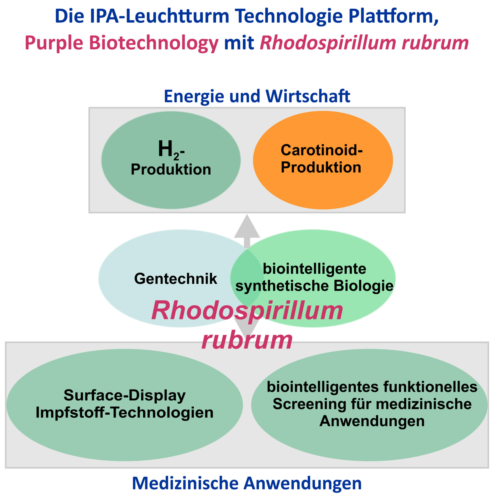 »Purple Biotechnology«-Plattform