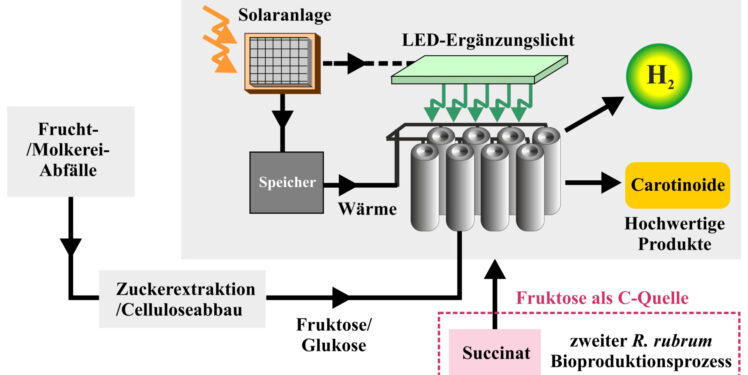 Solarstrom und Trester sind nötig, um Wasserstoff produzieren können