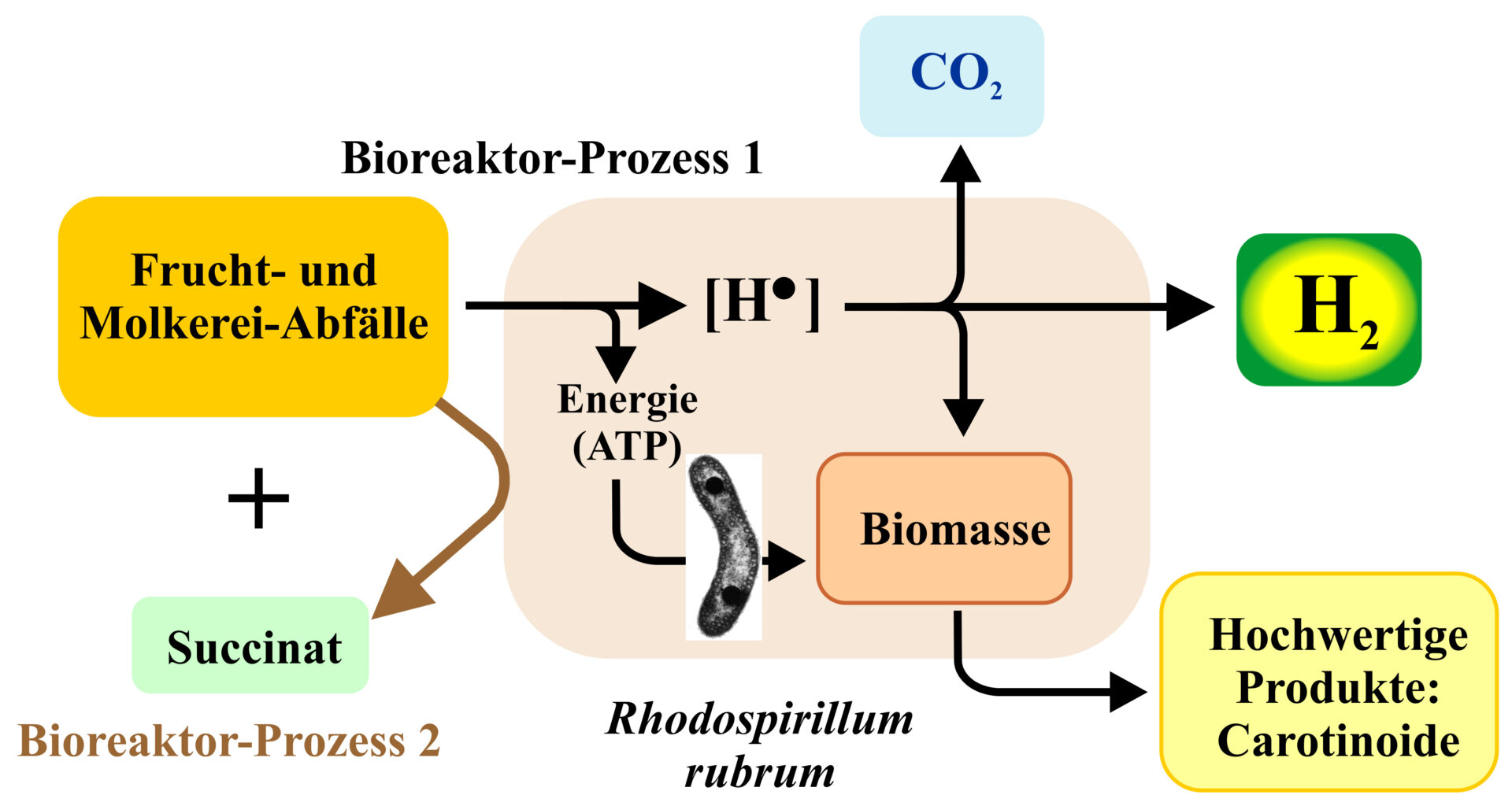 RhoTech2-Wasserstoff-Produktionsprozess